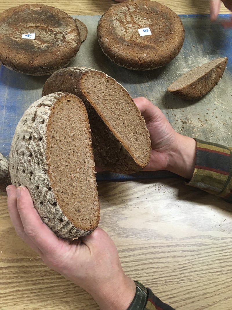 rye bread loaves