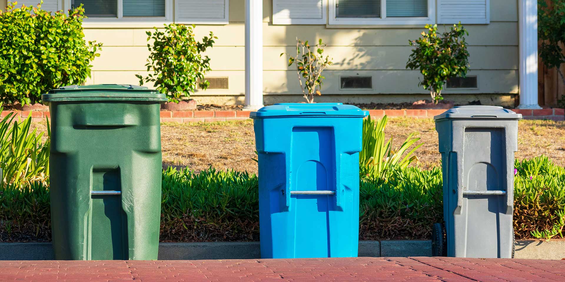 trash cans and compost collection bin at the curb