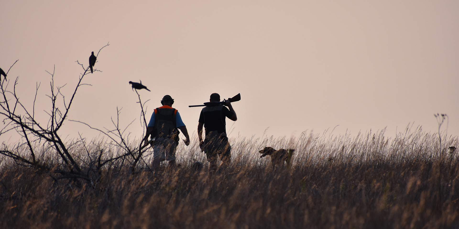 The environmental benefits — and limitations — of hunting as a food ...