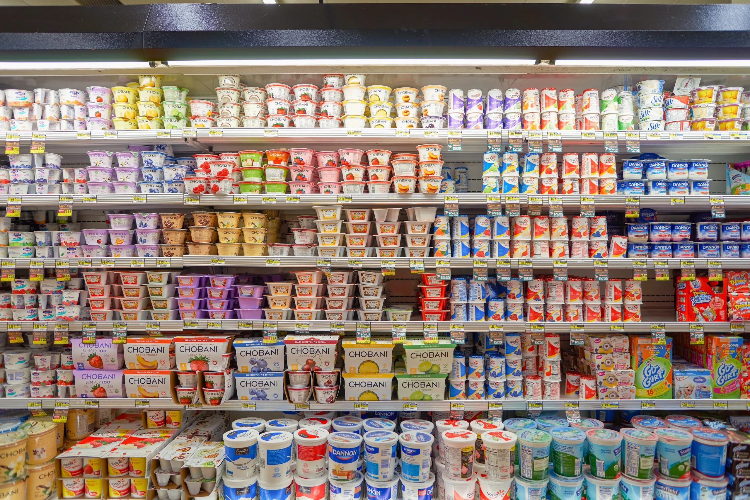 yogurt containers in the refrigerated case at the supermarket