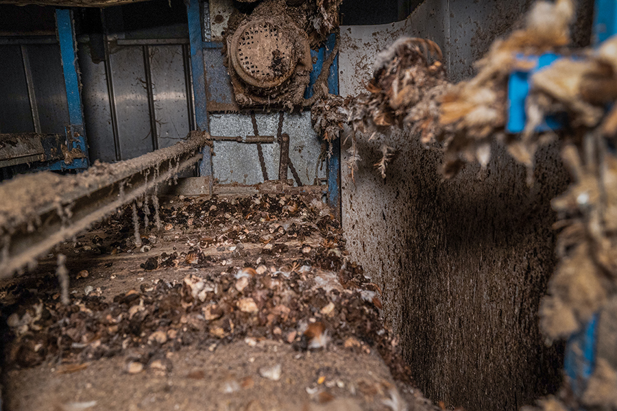 Chicken droppings cover the floor of a factory farm. Andrew Skowron / We Animals Media