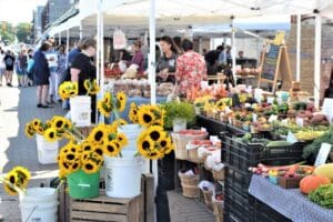 sunflowers and assorted vegetables at a farmers market stand