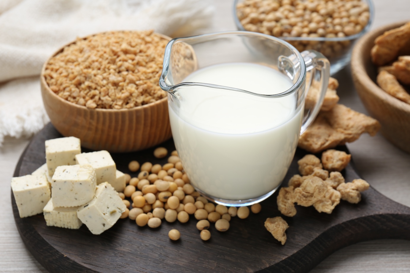 Different natural soy products, soy milk, soy beans, tofu on wooden board, closeup