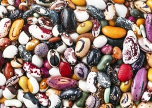 assortment of heirloom dried beans