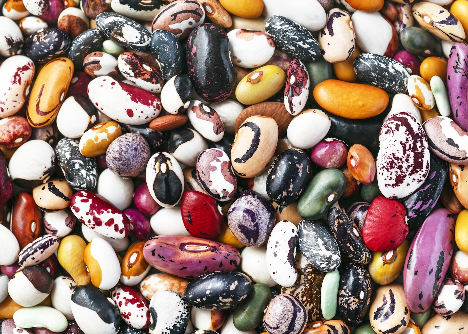 assortment of heirloom dried beans