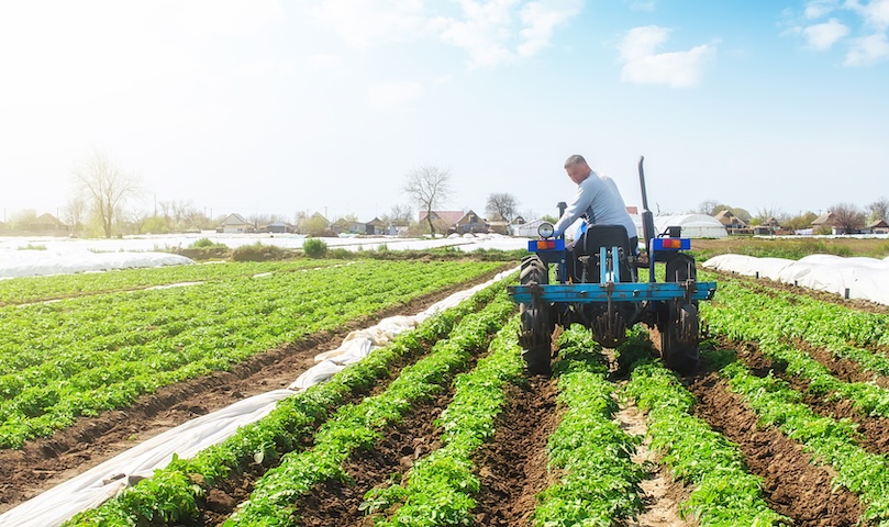 A farmer on a tractor loosens the soil and removes weeds on a potato plantation. Improving air access and water holding capacity. Crop care. Farming agricultural industry. Small farming SSUCv3H4sIAAAAAAAACnSRwW7DIAyG75P2DhHnRgpNljZ7gx027V7t4IDboFKogGyaqr77TAgTh+2Gf5vP/u3b40NVsRG8Euy5usWIYqX17IODoKwhudmsukMj0ZUKShWsU6BLcYQgJgMXJNHMWkf5viSZDxBmjz42WyUBAU/ESOIvIk10SHGVE0uSflCKvRHKIdsUGT+PMfOuwQRfgZFVcEjgXJJa/sN7MTK6jmb+YL4qL1ATGO1cANPjI1uHExrxvbgrXDvUCMn1IZWy81dAdyn3ALNUtljBpxWgY0FbkK5OCWVOxTcbpuUk+ZuwswkujsCyDaatvcKo4z2OxMSsT+A9lcusF40ErcJeij7GhsXASmWSzhZD3m7bvuP7/dAPe77b9ru1IJ16UsRZxskgisVZydK6ihOwlg897zpZS3E81l3fdDU8NbwW41a0u7HreCNo8fcfAAAA//8DAEjQh+e0AgAA